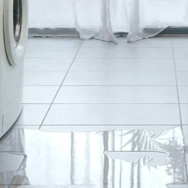 Appliance Leak Cleanup in Wayne County, WV