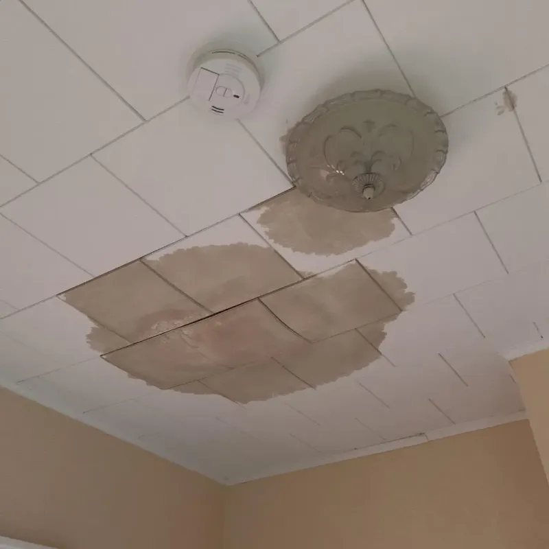 Ceiling Water Damage Repair in Wayne County, WV