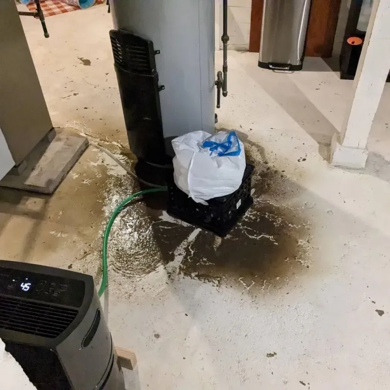 Sewage Backup Cleanup Service in Wayne County, WV